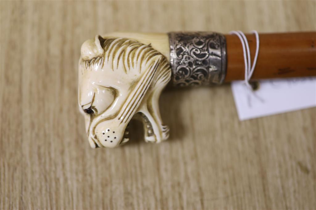 A Victorian sword cane, ivory lions head pommel with glass eyes, silver band H.M.Birmingham 1898, maker WS&ES, blade with traces